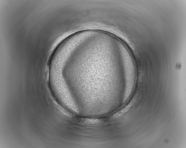 X0000094821509200711301618