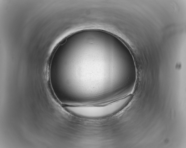 X0000094821510200711301618