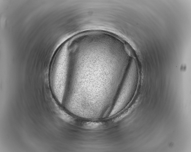 X0000094821513200711301618
