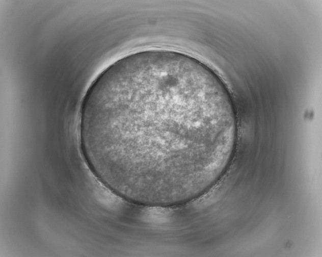 X0000094821514200711301618