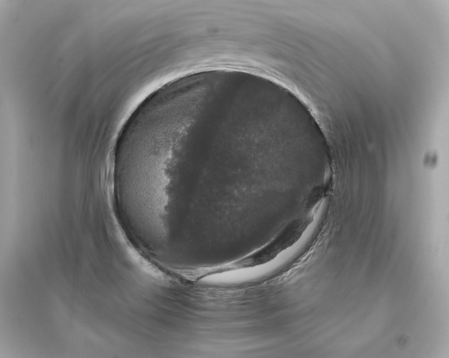 X0000094821515200711301618