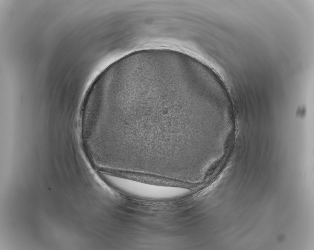 X0000094821517200711301618