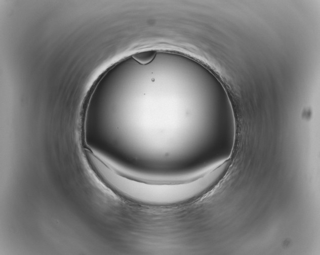 X0000094821518200711301618
