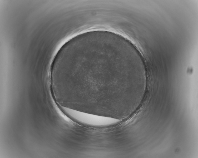 X0000094821519200711301618