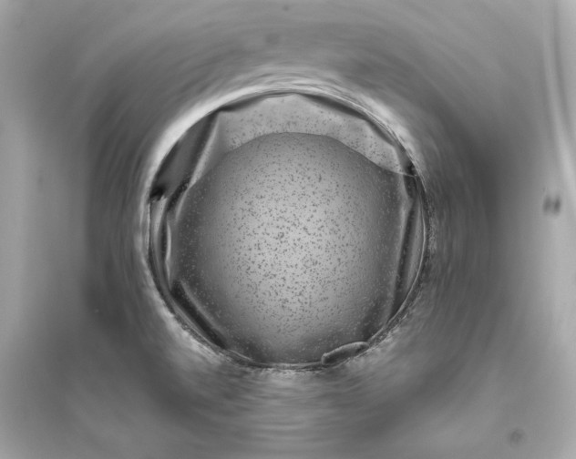 X0000094821520200711301618