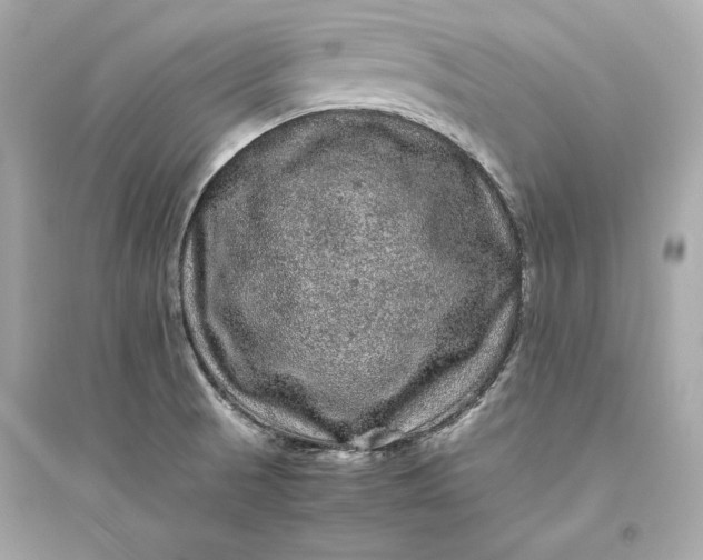 X0000094821521200711301618