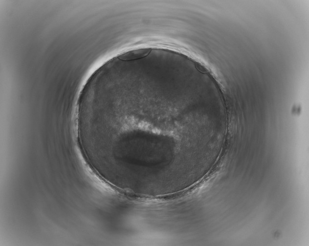 X0000094821522200711301618