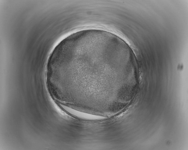 X0000094821523200711301618