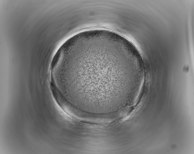 X0000094821524200711301618