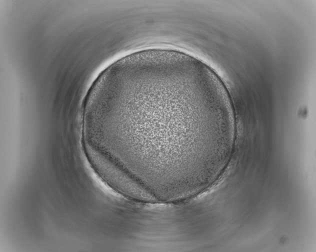 X0000094821526200711301618