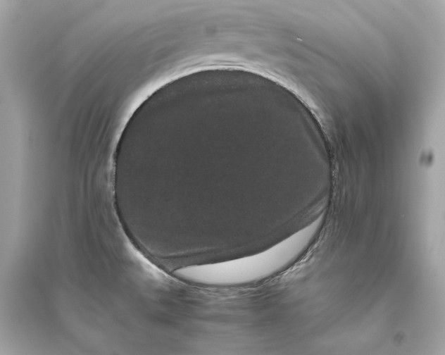 X0000094821527200711301618