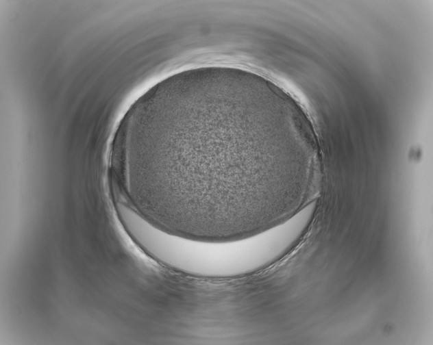 X0000094821528200711301618