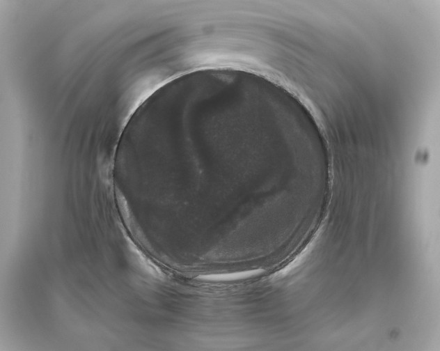 X0000094821529200711301619