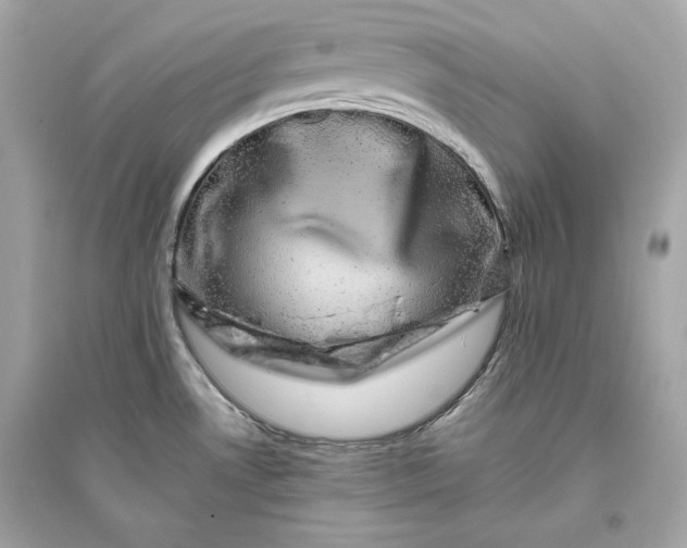 X0000094821530200711301619