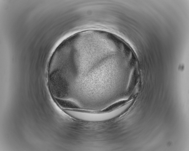 X0000094821531200711301619