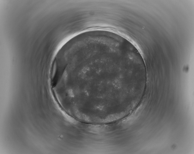 X0000094821533200711301619