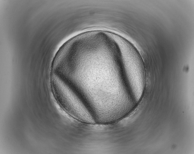 X0000094821534200711301619