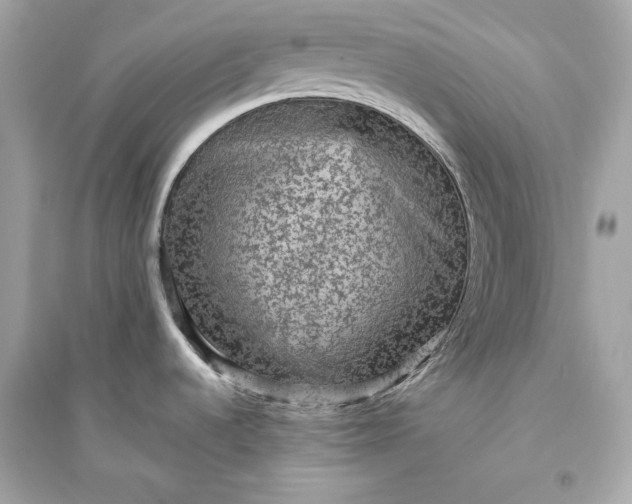 X0000094821536200711301619