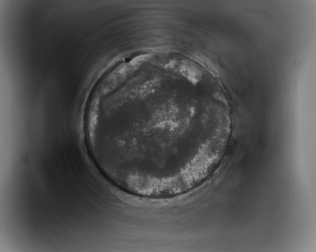 X0000094820002200712071255