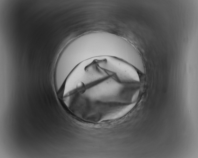 X0000094820003200712071255
