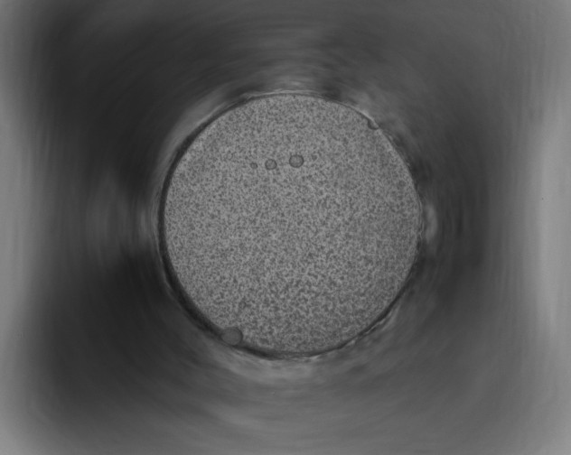 X0000094820004200712071255