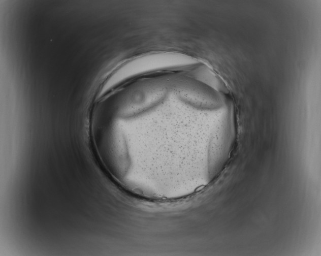 X0000094820005200712071255