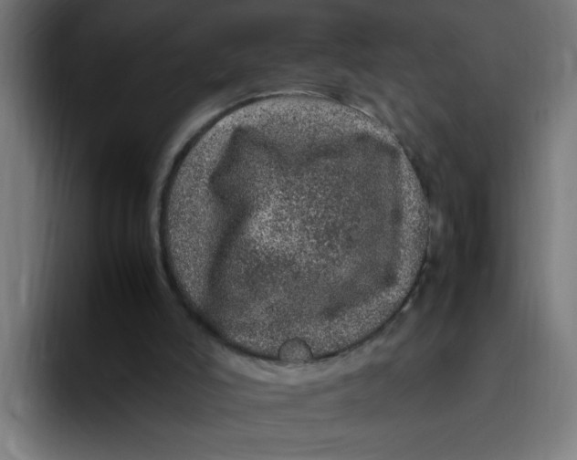 X0000094820006200712071255