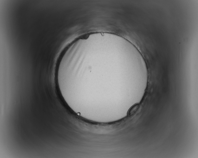X0000094820008200712071255