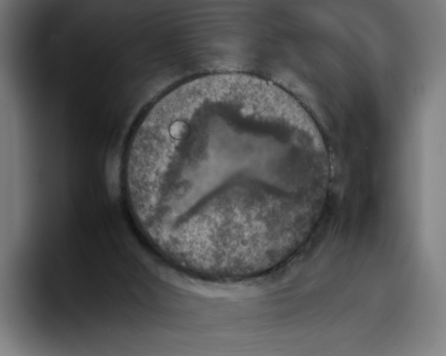 X0000094820012200712071255