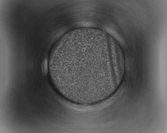 X0000094820014200712071255