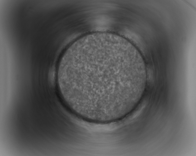 X0000094820016200712071255