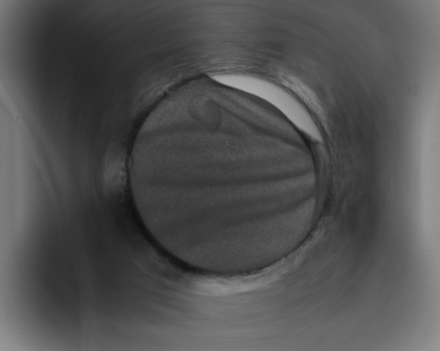 X0000094820017200712071255