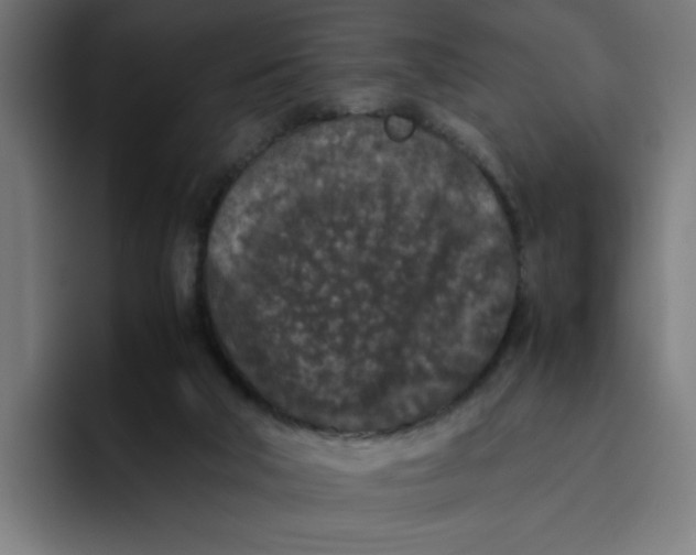X0000094820018200712071255
