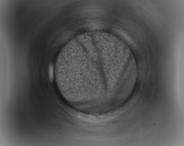 X0000094820022200712071255
