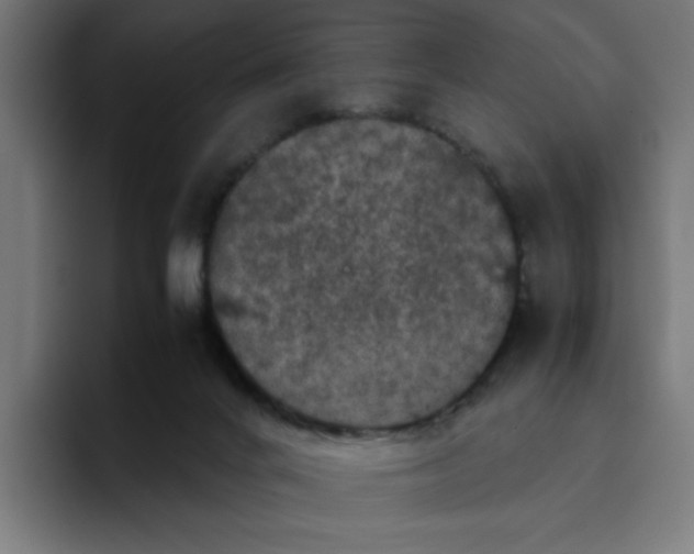 X0000094820024200712071255
