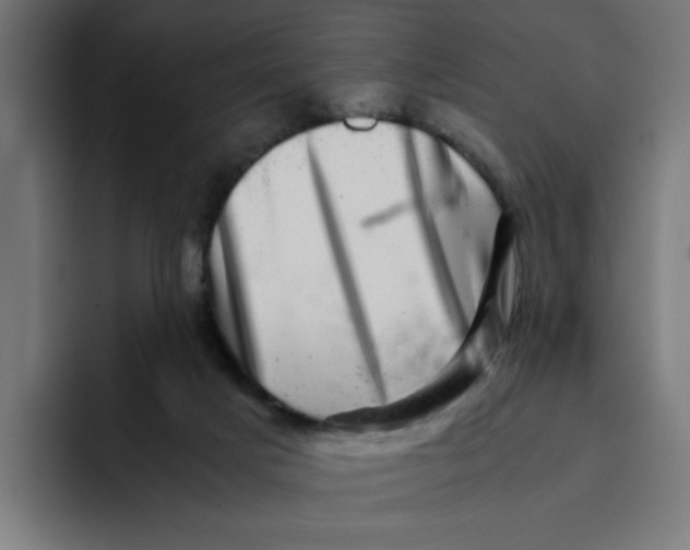X0000094820025200712071255