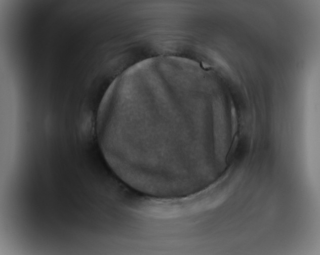 X0000094820029200712071255
