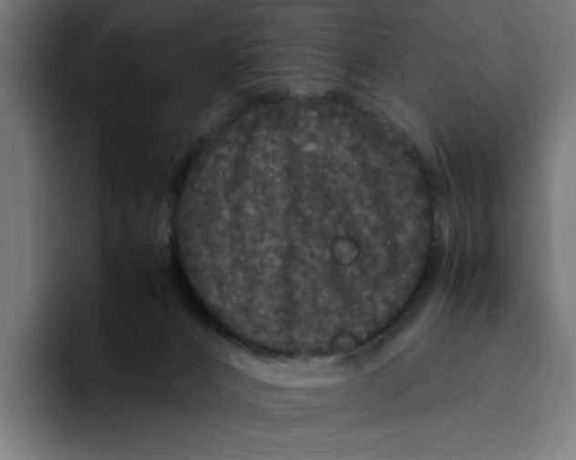 X0000094820032200712071255