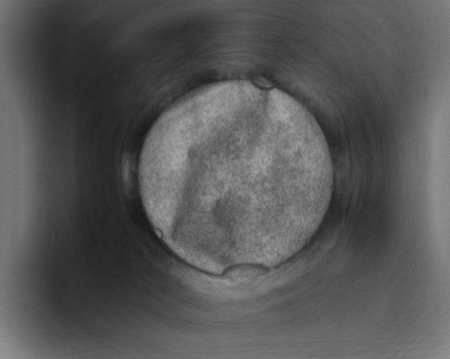 X0000094820038200712071255