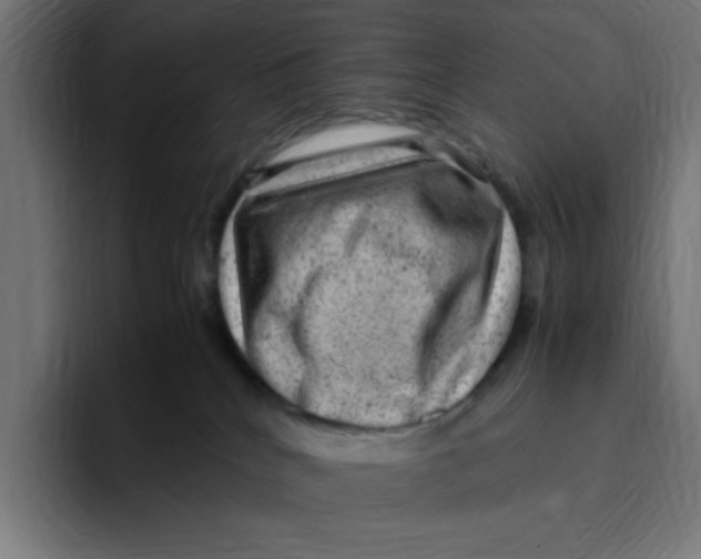 X0000094820040200712071254