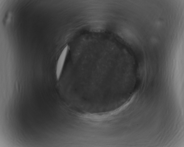 X0000094820041200712071254