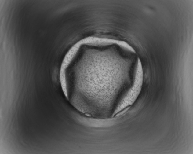 X0000094820044200712071254