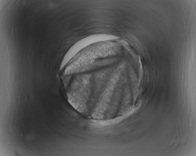 X0000094820045200712071254
