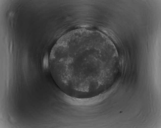 X0000094820046200712071254