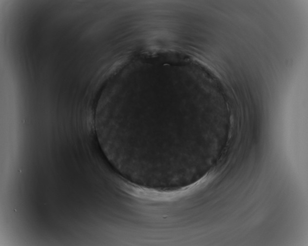 X0000094820048200712071254