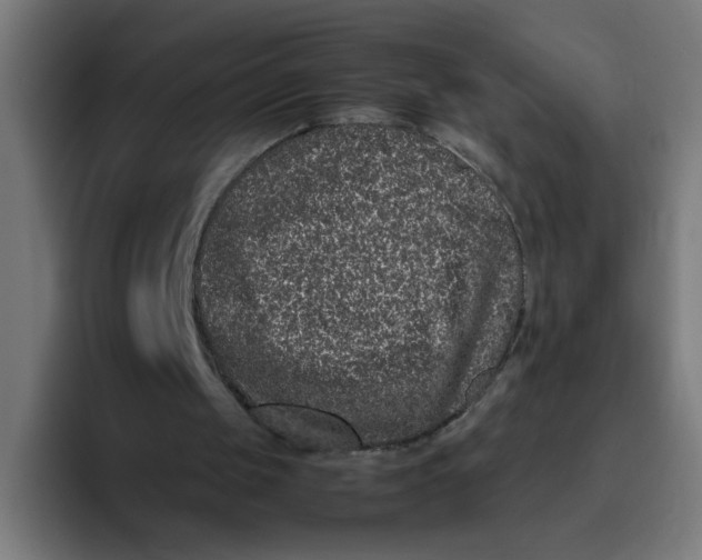 X0000094820049200712071254