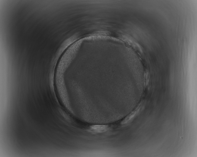 X0000094820051200712071254