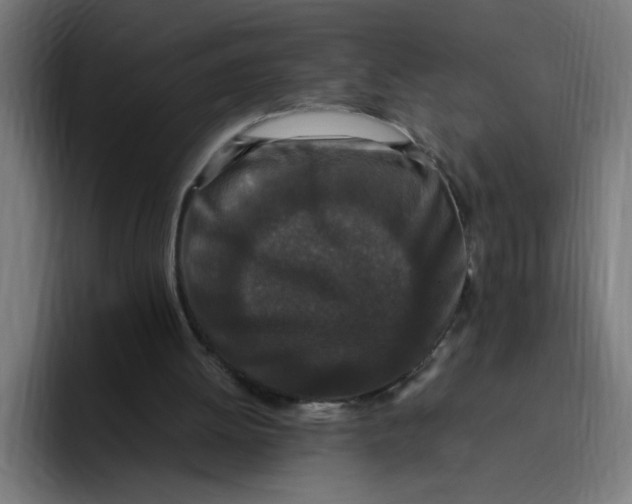 X0000094820052200712071254