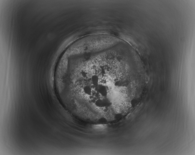 X0000094820053200712071254