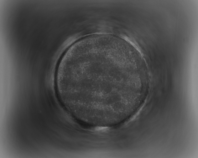 X0000094820055200712071254
